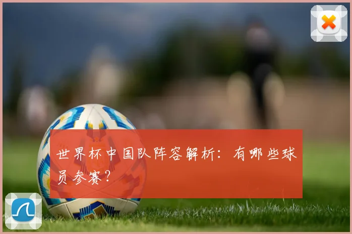 世界杯中国队阵容解析:有哪些球员参赛?