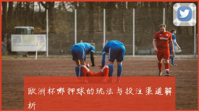欧洲杯哪押球的玩法与投注渠道解析