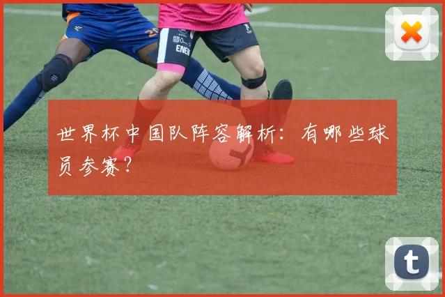世界杯中国队阵容解析:有哪些球员参赛?