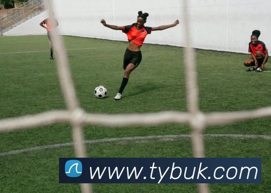 多媒体互动体验